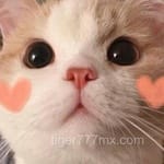 Avatar de Daniela Solís